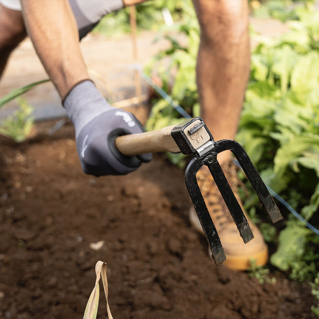 Niwaki Forked Hand Hoe