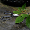 Niwaki Higurashi Scissors