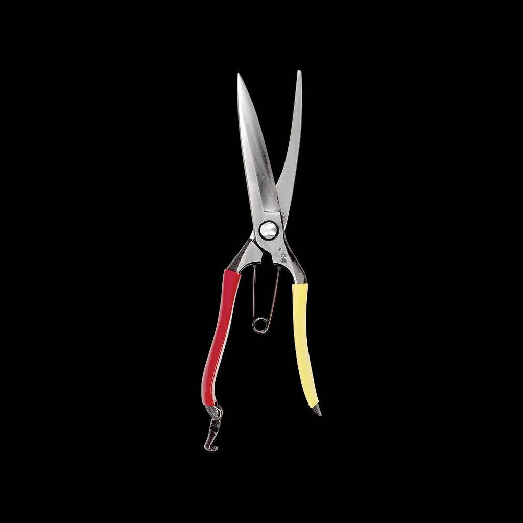 Tobisho Barracuda Clippers