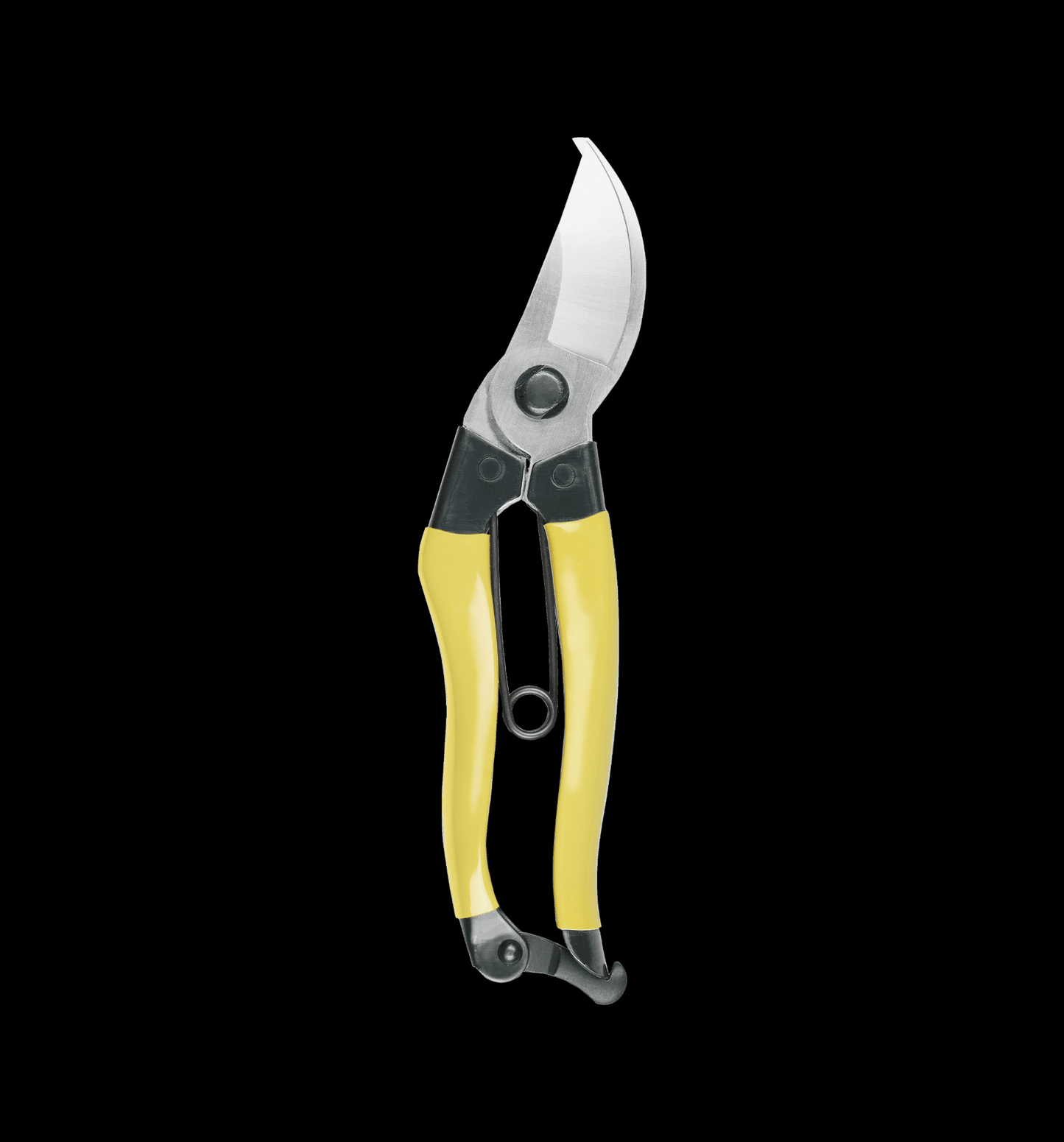 Niwaki Mainichi Secateurs - Proteaflora